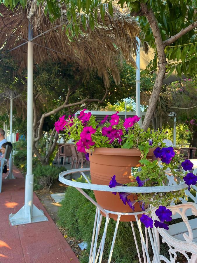 Theodorou Beach Hotel Apartments Psalidi (Kos) Exterior foto