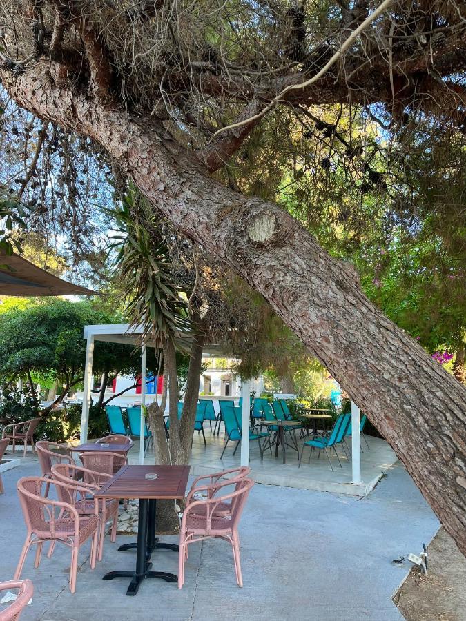 Theodorou Beach Hotel Apartments Psalidi (Kos) Exterior foto
