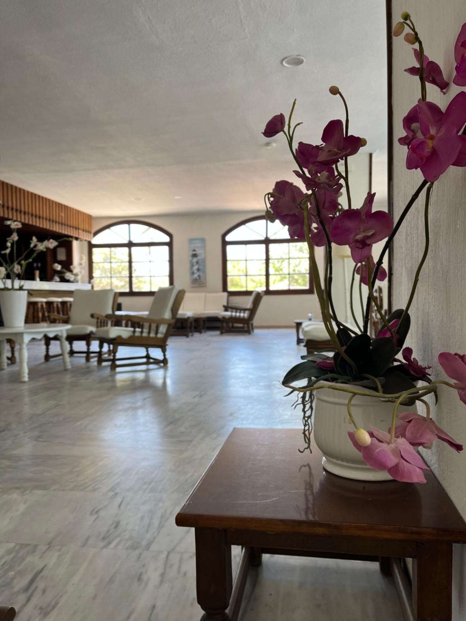 Theodorou Beach Hotel Apartments Psalidi (Kos) Exterior foto